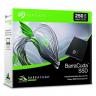 SSD INTERNAL - BARACUDA 250 GB
